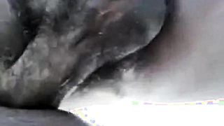 Daddy's Amateur Adventure 5