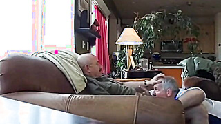 Silver Fox Servicer 2