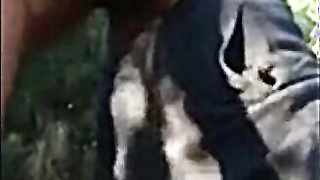 Old Daddies Bareback in the Great Outdoors 2