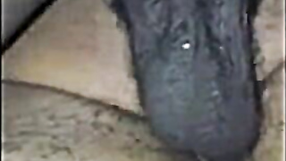 Raw Interracial Breeding