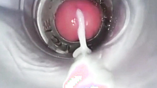 Amateur Big Cock Handjob Masturbation 3