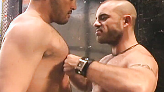 Give him a hot stud like Jessie Balbo, and you know there are going to be fireworks! Taurus wanted to fist Balboa in our industrial elevator.