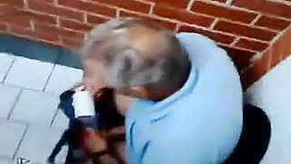 Amateur Cub Dad Comes back