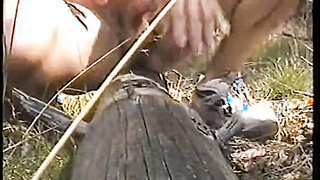 Outdoor Hj Joy: Tree Prick Screwing Venture