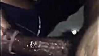Ginormous Black Dinky Blow-job by Amateur Bi-racial Duo