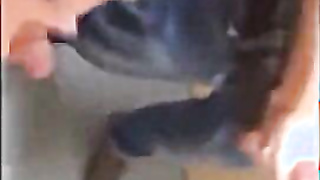 Humungous Stiffys Circle Fap Off Compilation