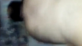 Teddy Father's Penis Craze