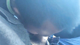 Twunk Bj's Meaty Schlong in a Van