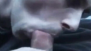 Dad's Punk Deep throat Before You Go