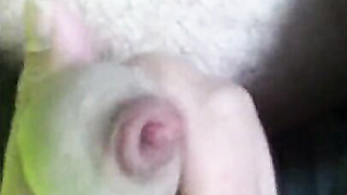 First-ever-Time Outdoor Nutting (Big Flow)