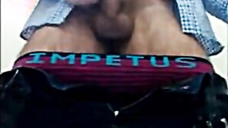 Otter Jerks in Public Wc and Ejaculates