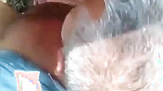 Mature Gaymale Wolf Dt in the Forest