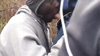 Trio Queer Amateurs in the Forest