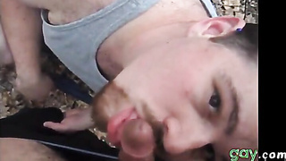 Fur covered Teddies in the Woods: Outdoor Escapade