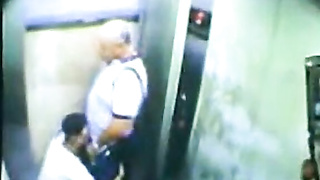 Parent Hairy man and his Young Hairy man Caught on Camera