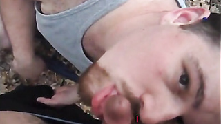 Furry Cubs in the Woods: Outdoor Venture