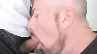 Moist Mexican Breeding Outdoors