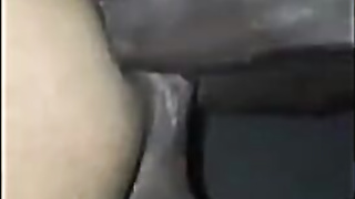 Moist Multiracial Breeding