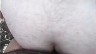 Amateur Otters in the Forest