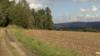 Outdoor faggot Fuck-Fest betwixt 2 juvenile teenagers