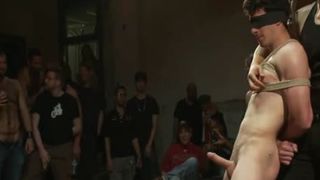 Landed In A Bedroom Total Of obscene masculines