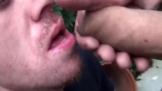 Teddy Employee And scum Youngster