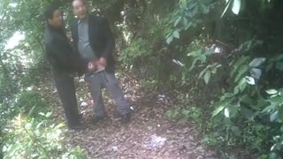 Spycam - 2/01/2020 - Japanese Outdoor Joy trio