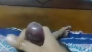 Japanese Wild Showcase on Web Cam